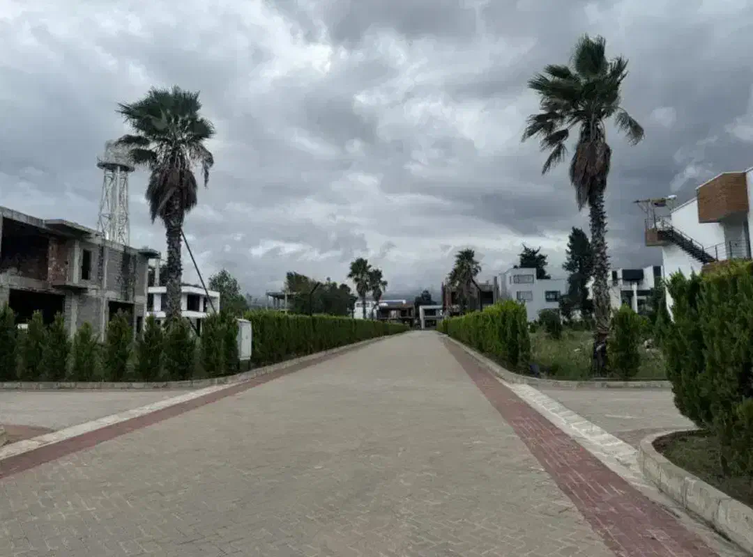 مجموعه ویلایی/جواز و سند/ویو جنگل/شرایطی|فروش زمین و ملک کلنگی|نشتارود, |دیوار