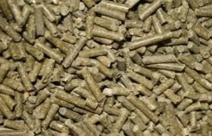 تفاله فشنگی چغندر|لوازم جانبی حیوانات|خوی, |دیوار