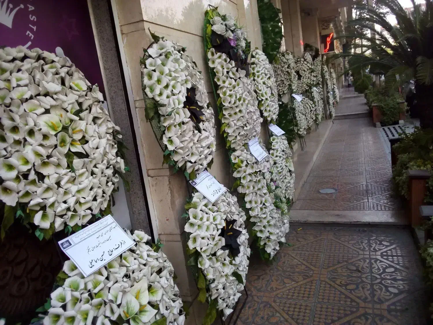 جذب مدل خانم مبتدی|استخدام هنری و رسانه|تهران, آجودانیه|دیوار