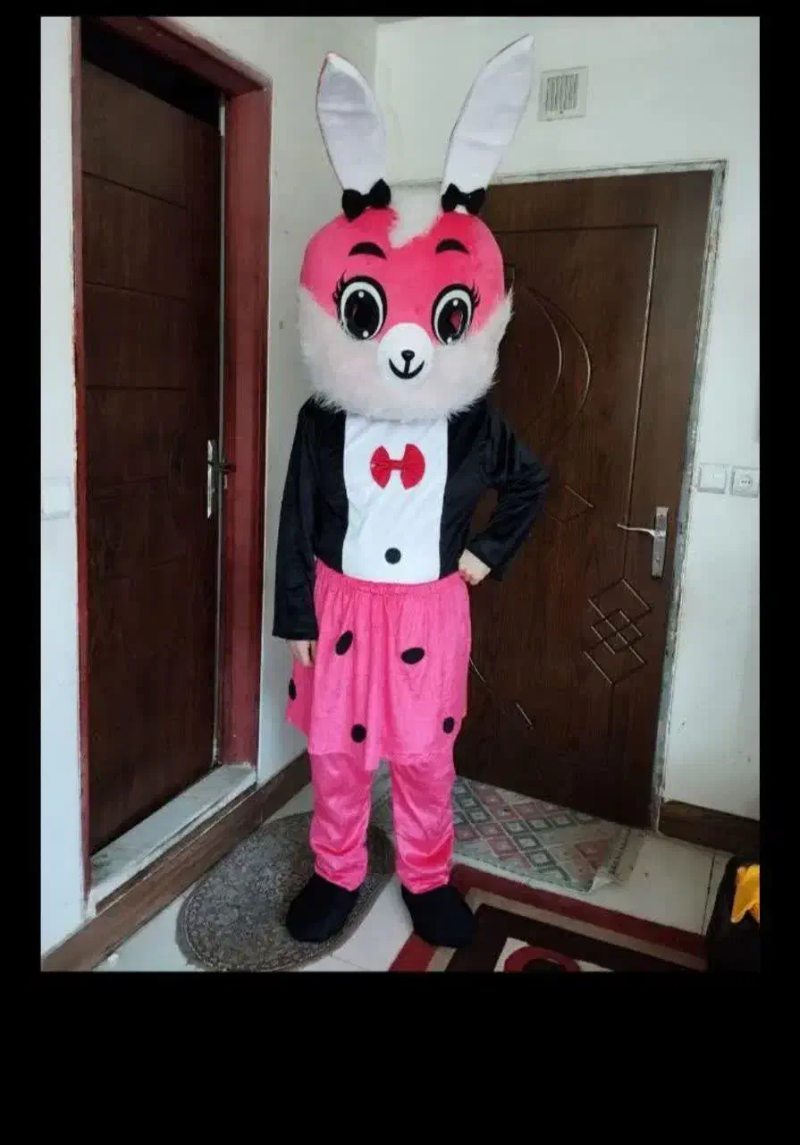 اجاره عروسک تن پوش زیبا|اسباببازی|اردکان, |دیوار