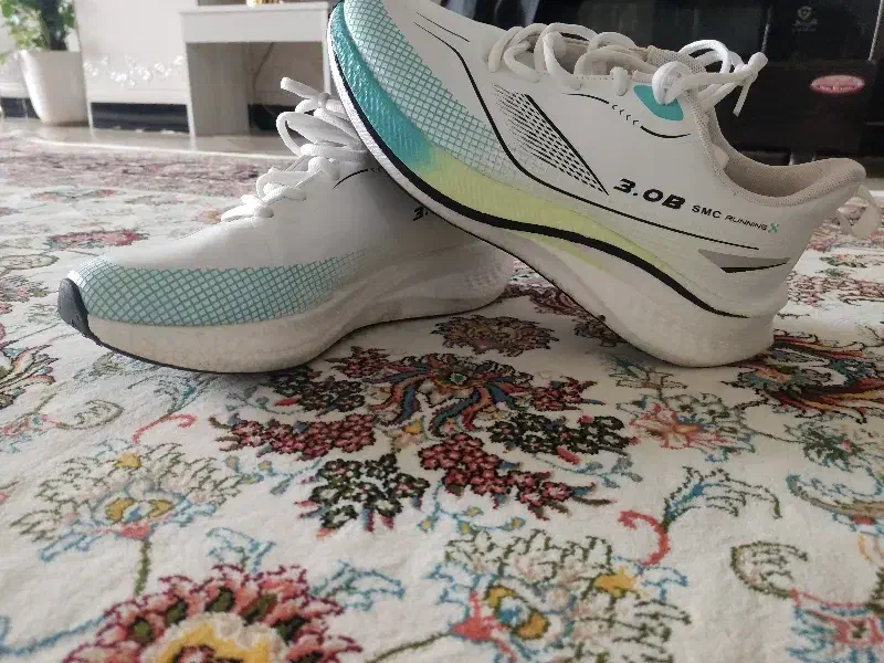 کفش|کیف، کفش، کمربند|بانه, |دیوار