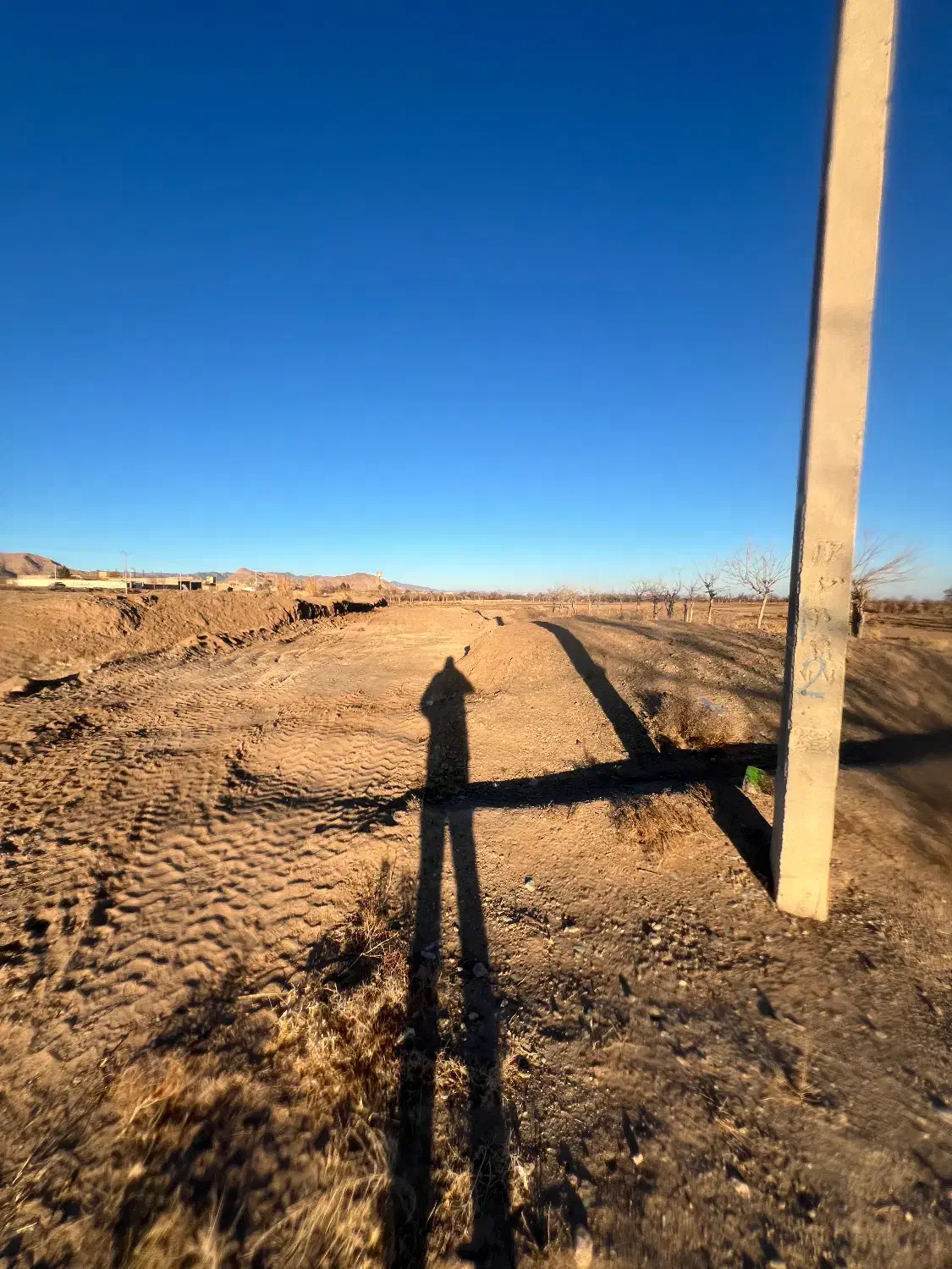 زمین حاشیه خیابان امام رضا|فروش زمین و ملک کلنگی|تربت‌حیدریه, منظر|دیوار