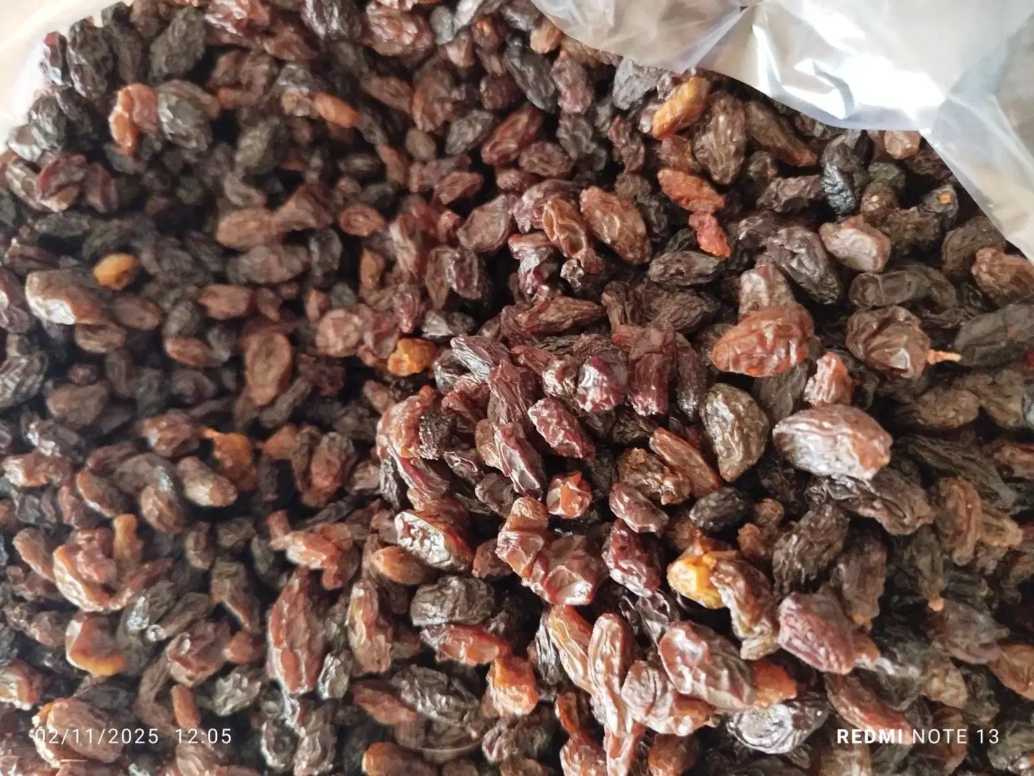 فروش کشمش|خوردنی و آشامیدنی|ایوان, |دیوار