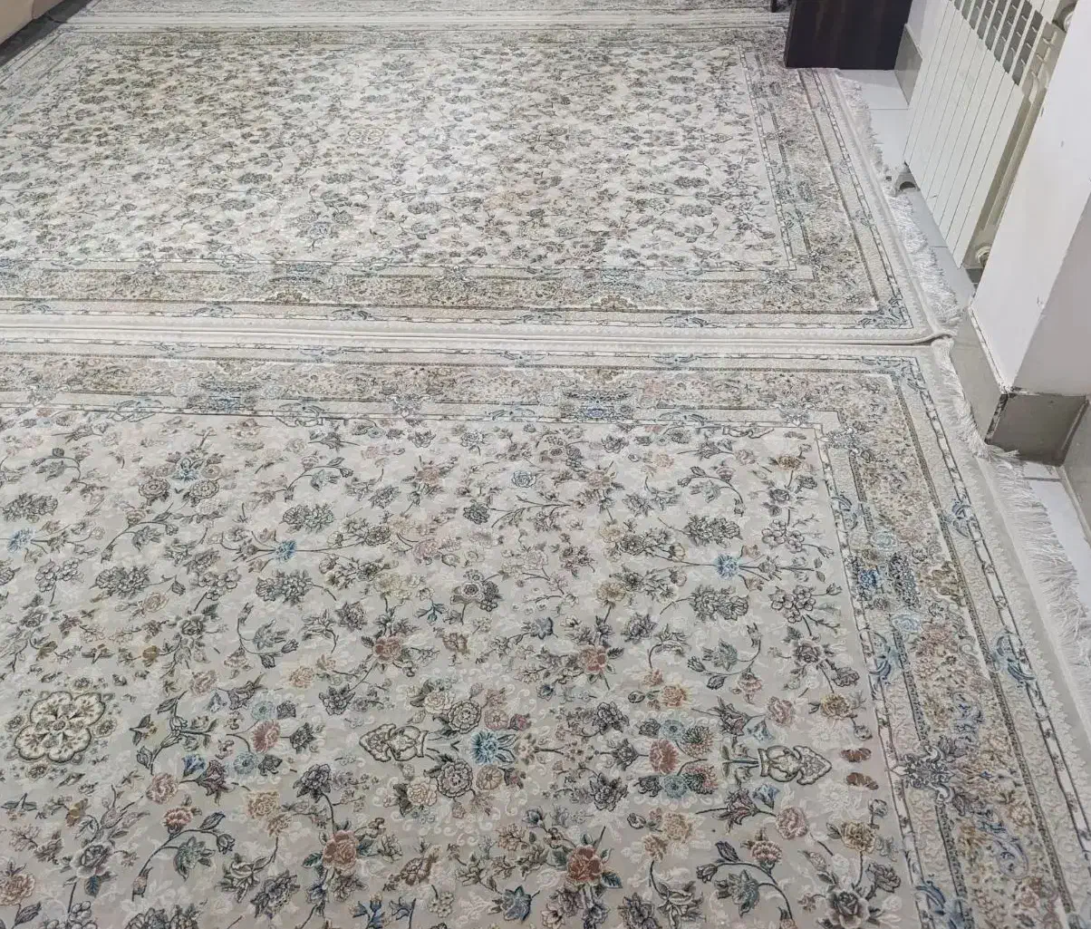 فرش 1200شانه تراکم 3600طرح نیلوفر|فرش|مهاباد (آذربایجان غربی), |دیوار