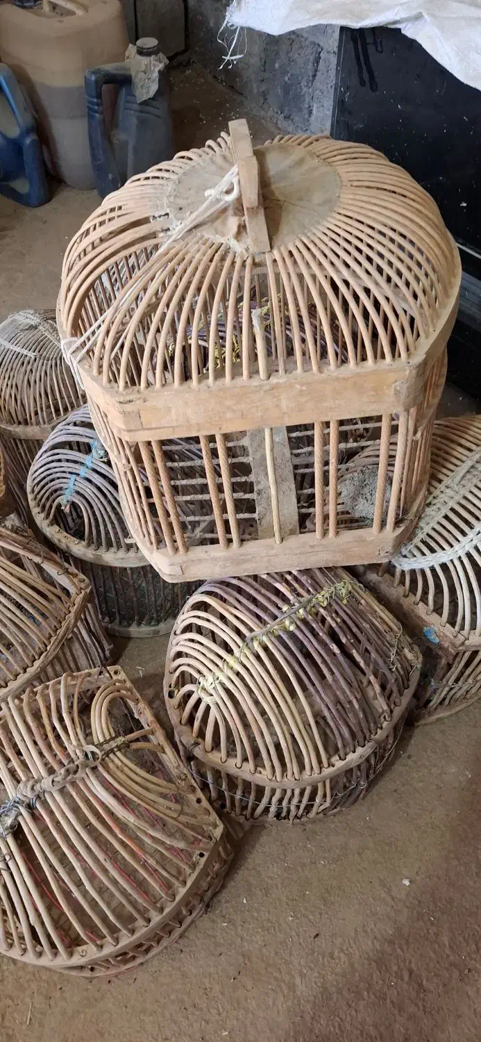 قفس فروشی|لوازم جانبی حیوانات|جوانرود, |دیوار