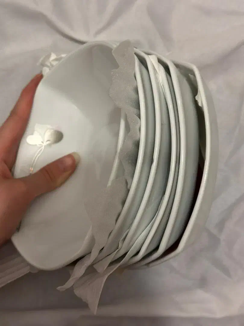 سرویس چینی ۱۲ نفره|ظروف سرو و پذیرایی|زنجان, |دیوار