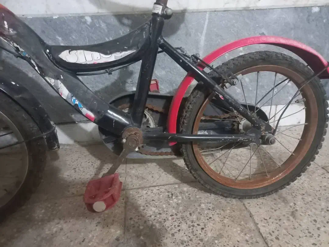 دوچرخه|دوچرخه، اسکیت، اسکوتر|فولادشهر, B2|دیوار