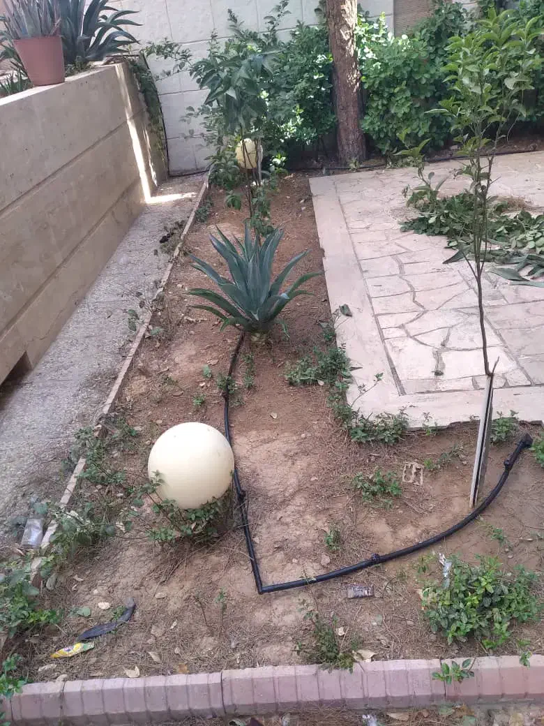 هرس .پاکن. کود دامی. اجرا سیستم آبیاری قطره ای.|خدمات باغبانی و درختکاری|شیراز, شهرک مهرگان|دیوار