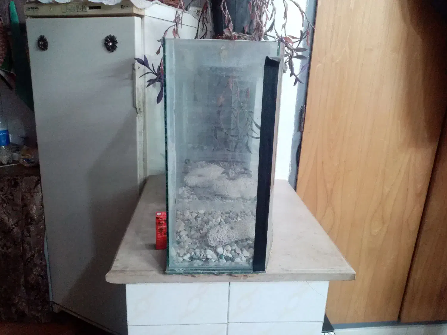 آکواریوم|ماهی|یزد, |دیوار