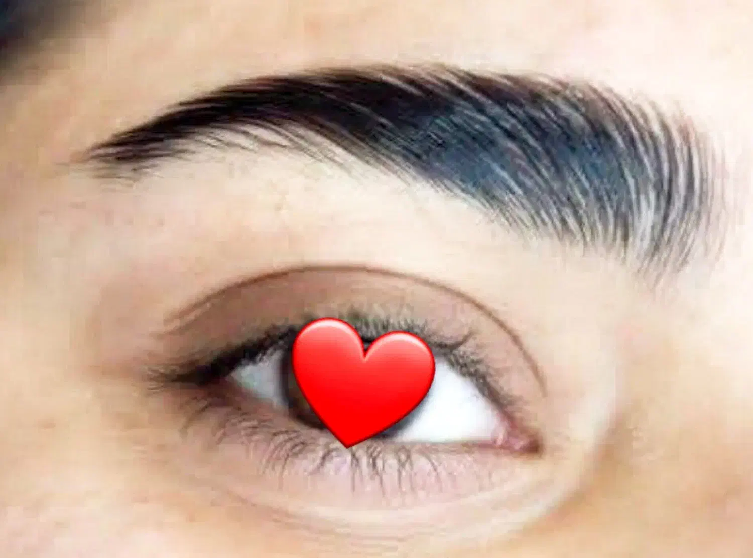 تخفیف لیفت مژه و ابرو به مناسبت روز دختر|خدمات آرایشگری و زیبایی|زابل, |دیوار