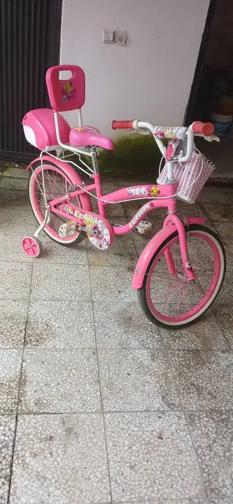 دوچرخه۱۶|دوچرخه، اسکیت، اسکوتر|رشت, دخانیات|دیوار