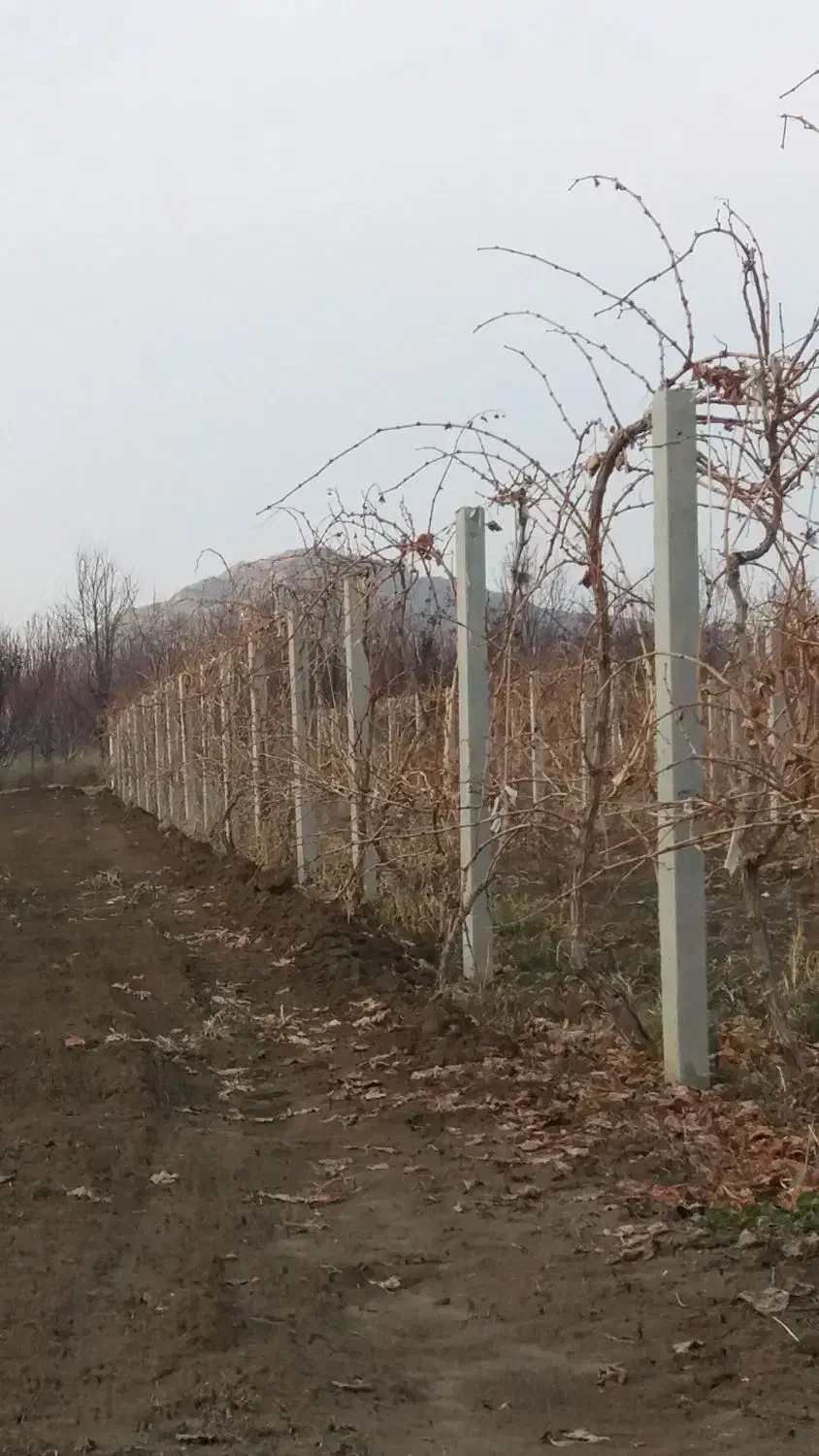 فنس کشی علیزاده|خدمات باغبانی و درختکاری|ارومیه, |دیوار