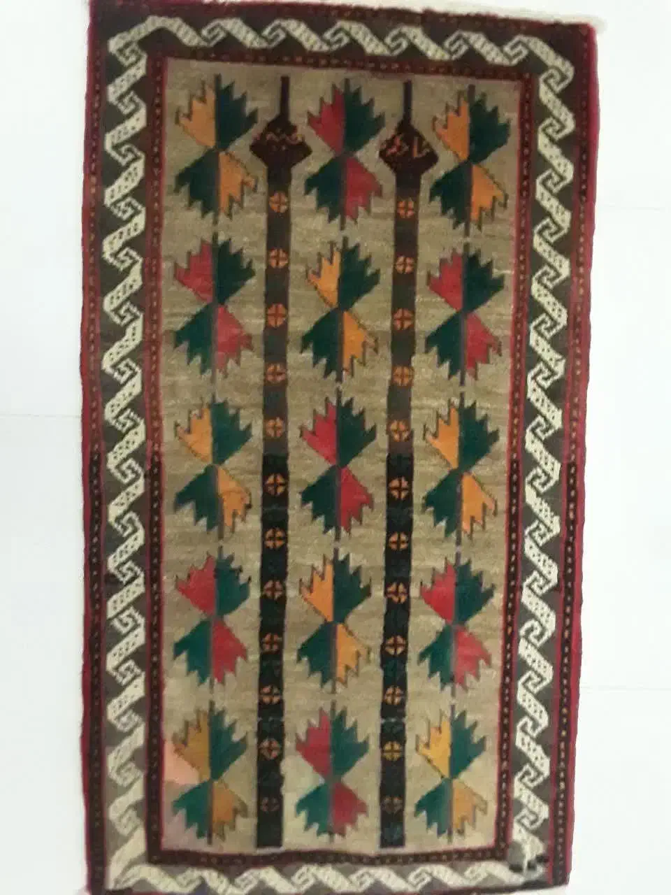 پادری زیبا گوشتدار شسته تمیز همدان|پادری|هشتگرد, شهرک گلخانه|دیوار