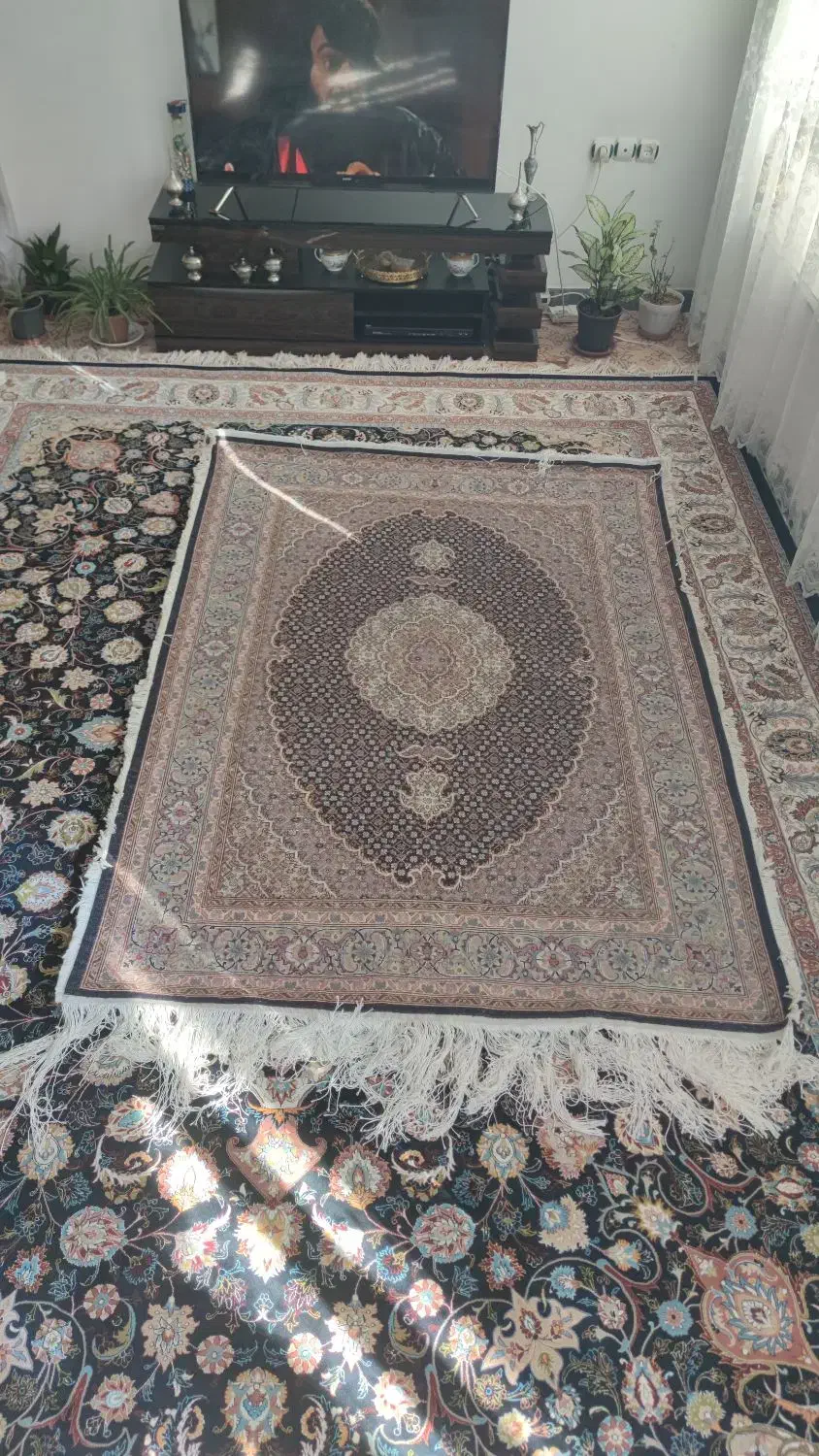 فرش بیجار|فرش|اردبیل, |دیوار