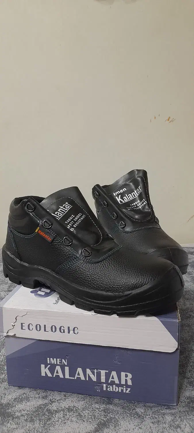 کفش کار|کیف، کفش، کمربند|خرمدره, |دیوار