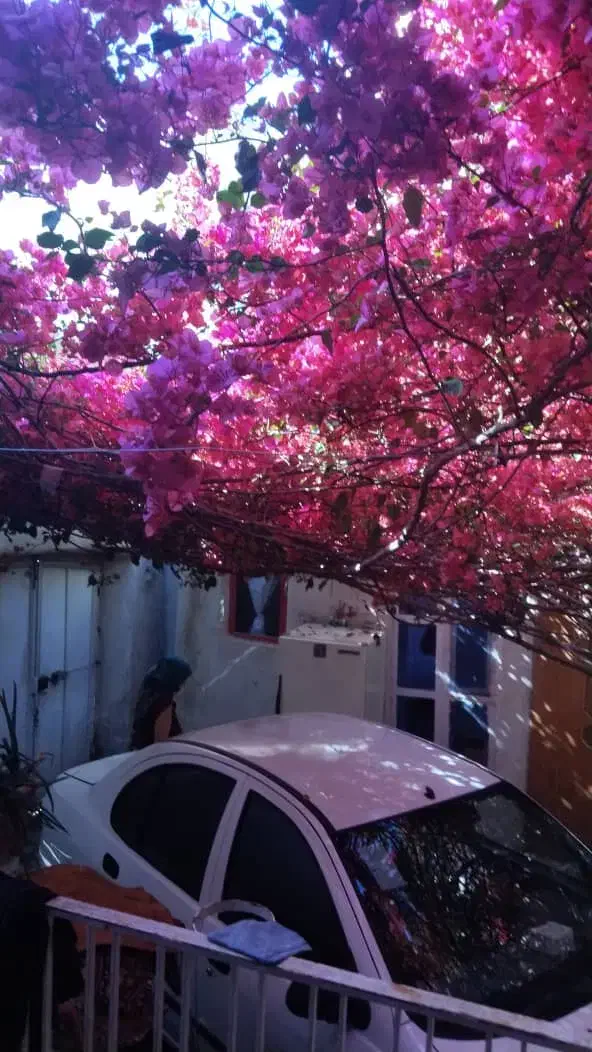 اجاره روزانه خانه ویلایی ۷۵ متری در هفت تیر|اجارهٔ کوتاهمدت آپارتمان و سوئیت|قم, هفت تیر|دیوار