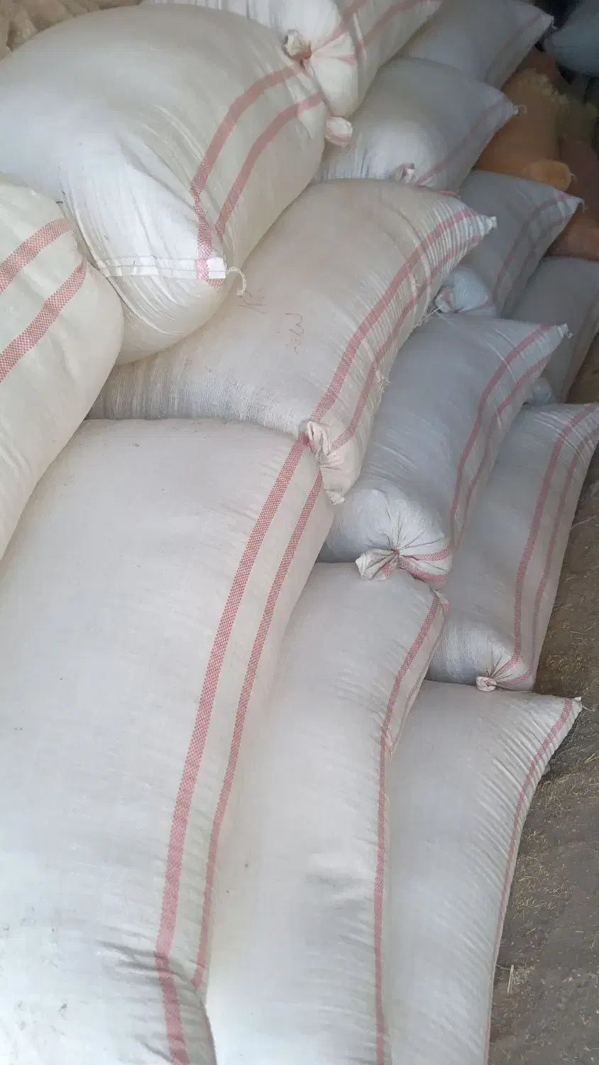 کاه گندم|لوازم جانبی حیوانات|صومای برادوست, |دیوار