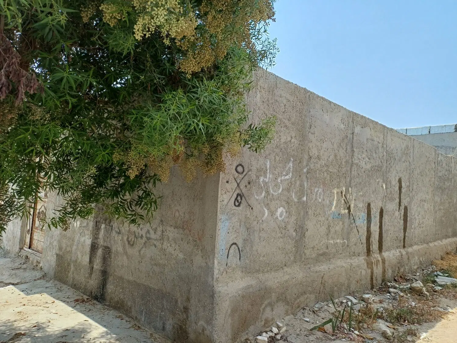 تصویر 3