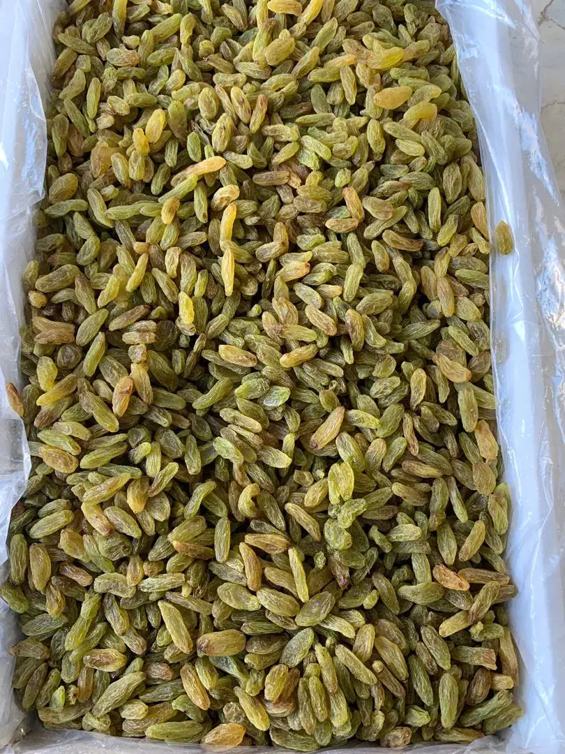 کشمش سبز کاشمر|خوردنی و آشامیدنی|تهران, بوستان چیتگر|دیوار