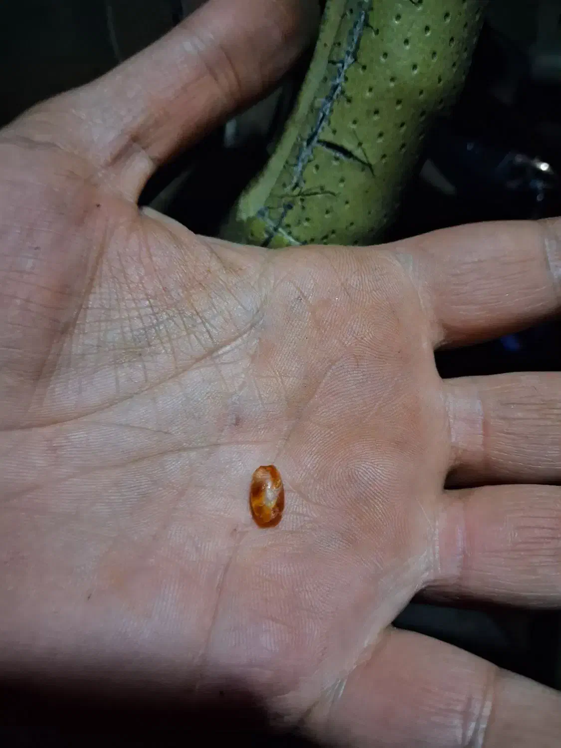 مهره برد درجه یک و کلکسیونی قدمت دار|کلکسیون اشیاء عتیقه|دهدشت, |دیوار