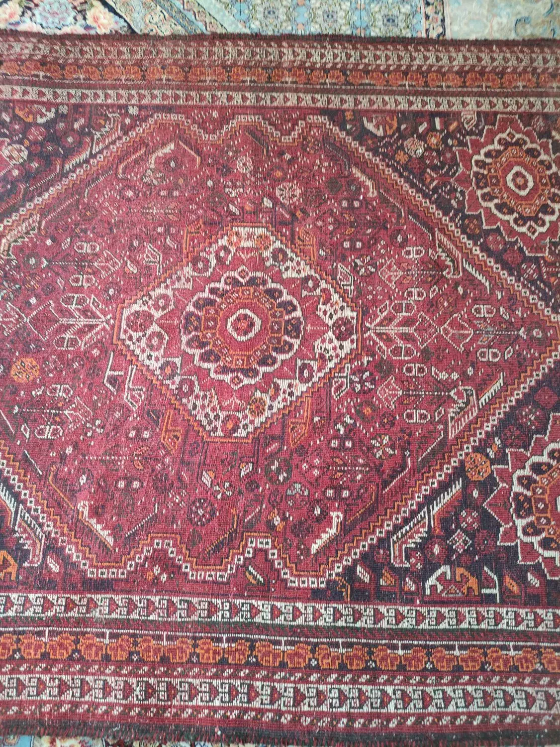 فرش دستباف قدیمی (طرح آباده)|فرش|شیراز, کوشک میدان|دیوار