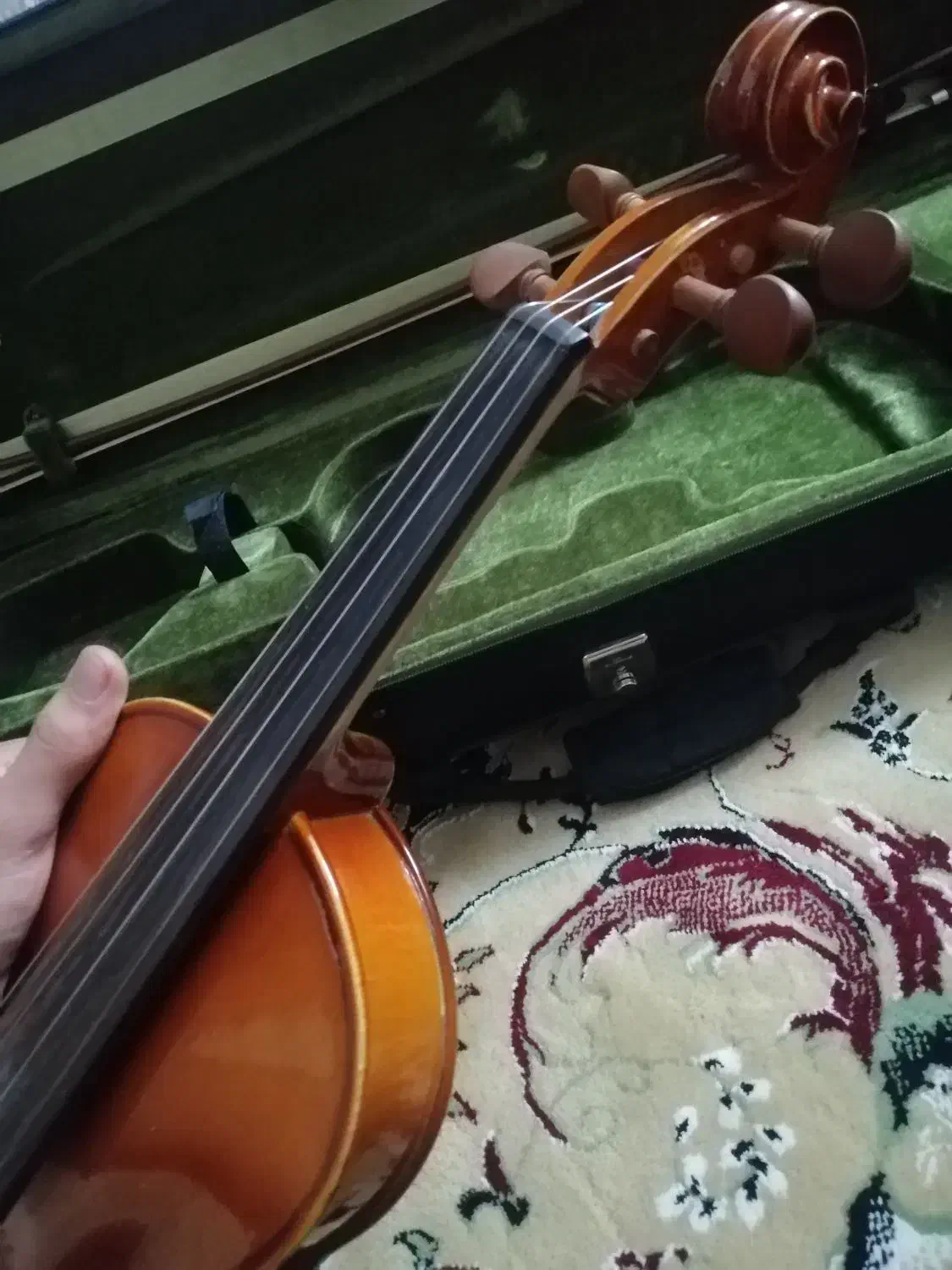 ویالون آموزشی هافنر 080|ویولن|کازرون, |دیوار