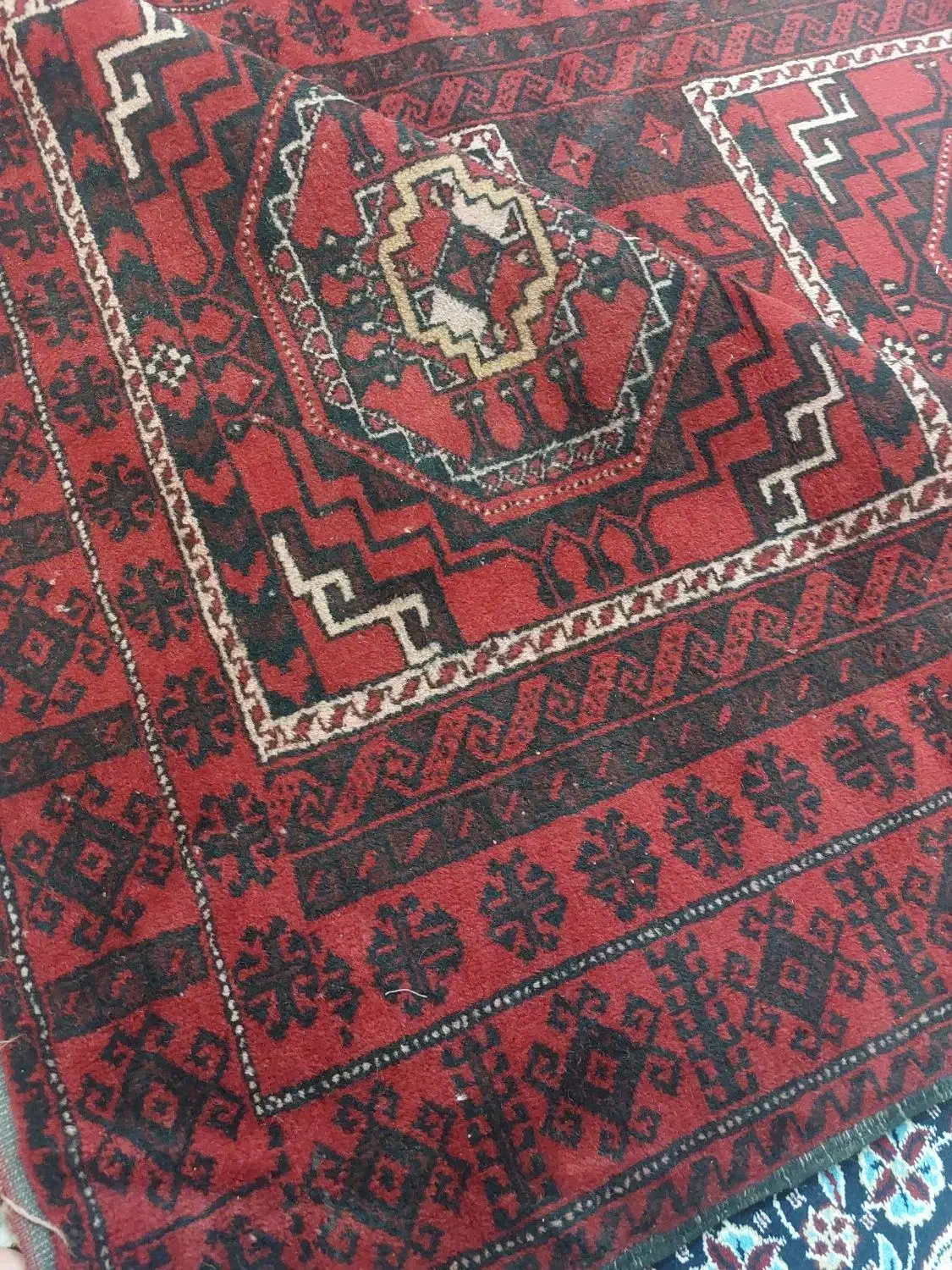 قالیچه دست بافت بلوچی|فرش|زاهدان, |دیوار