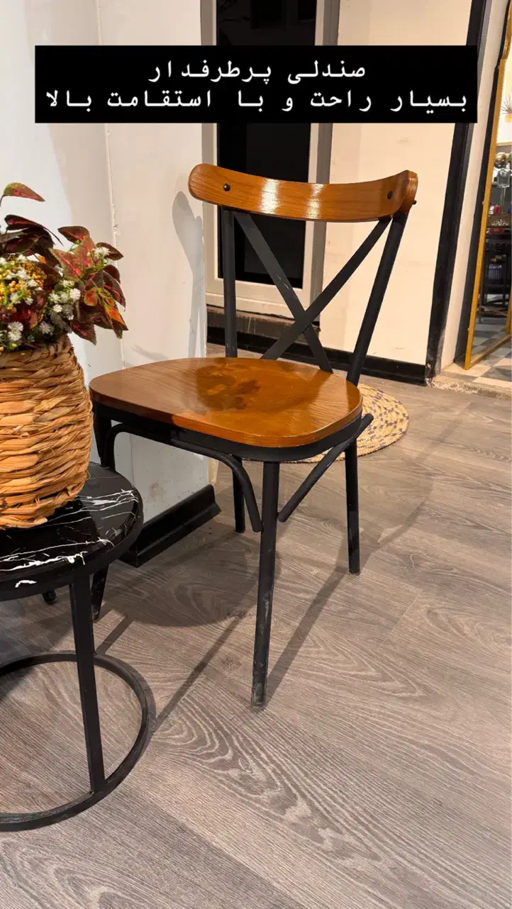 صندلی لهستانی|میز و صندلی غذاخوری|بندرعباس, |دیوار