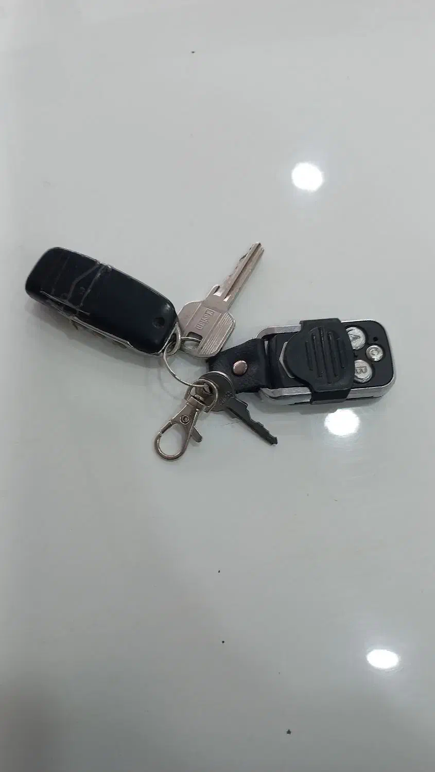 پیدا شده ریموت با سوییچ|اشیا|سبزوار, نواب صفوی|دیوار