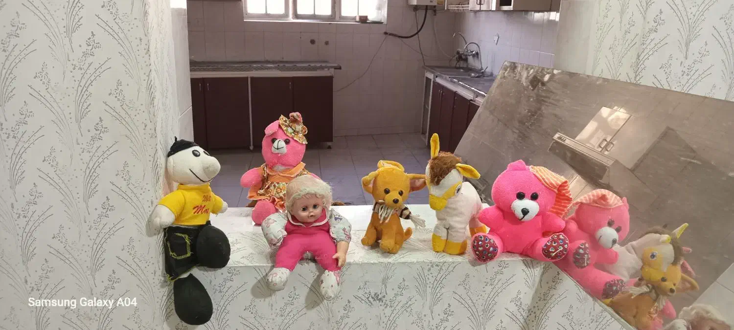 فروش عروسک و کیف بچهگانه|اسباب‌‌بازی|شیراز, شهرک صدا و سیما|دیوار