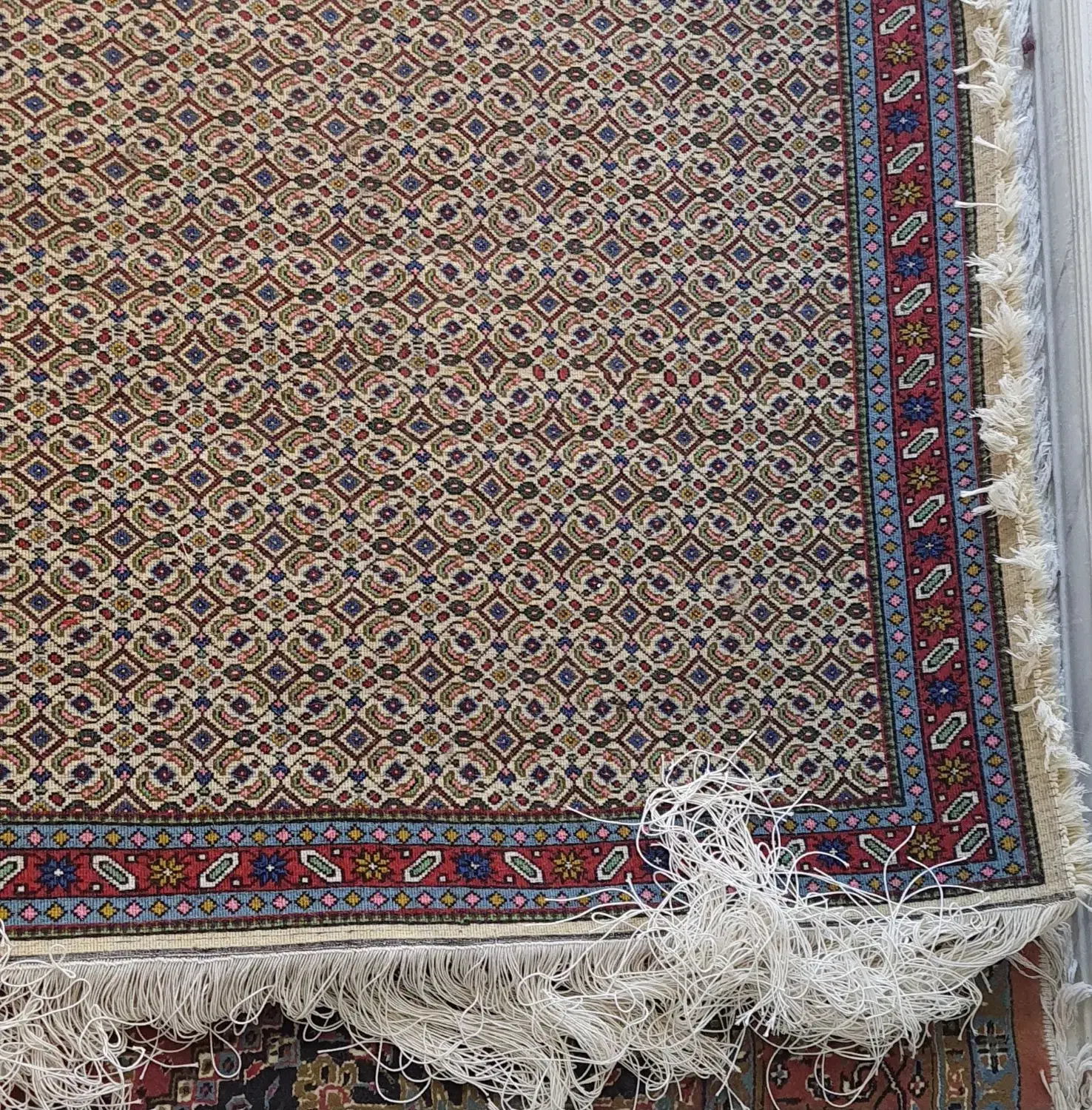 فرش دستباف زرنیم|فرش|اردبیل, |دیوار