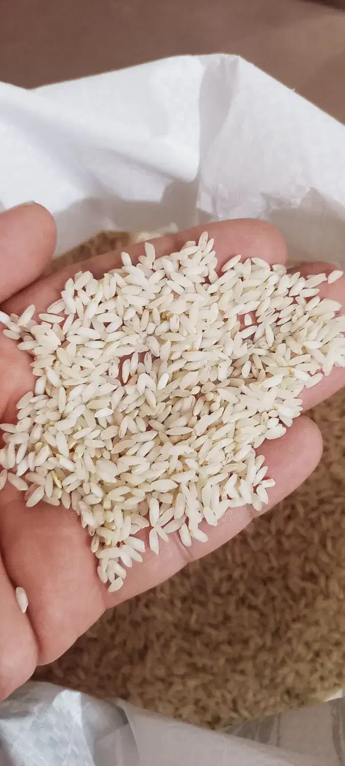 برنج عنبربو|عمده‌فروشی|اهواز, اسماعیلیه|دیوار