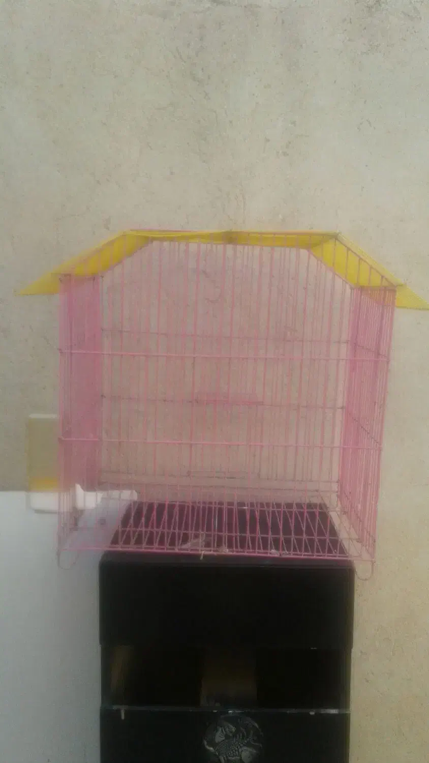 قفس|لوازم جانبی حیوانات|ایلام, |دیوار