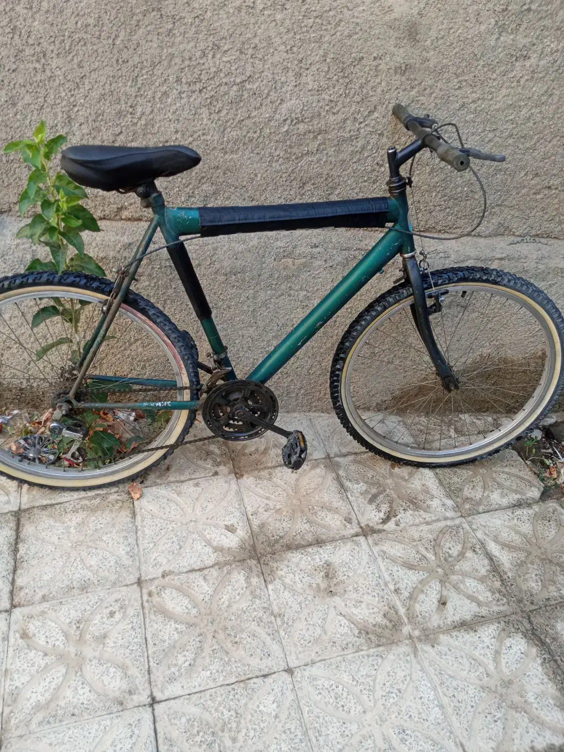 دوچرخه|دوچرخه، اسکیت، اسکوتر|محمدشهر, ولدآباد|دیوار