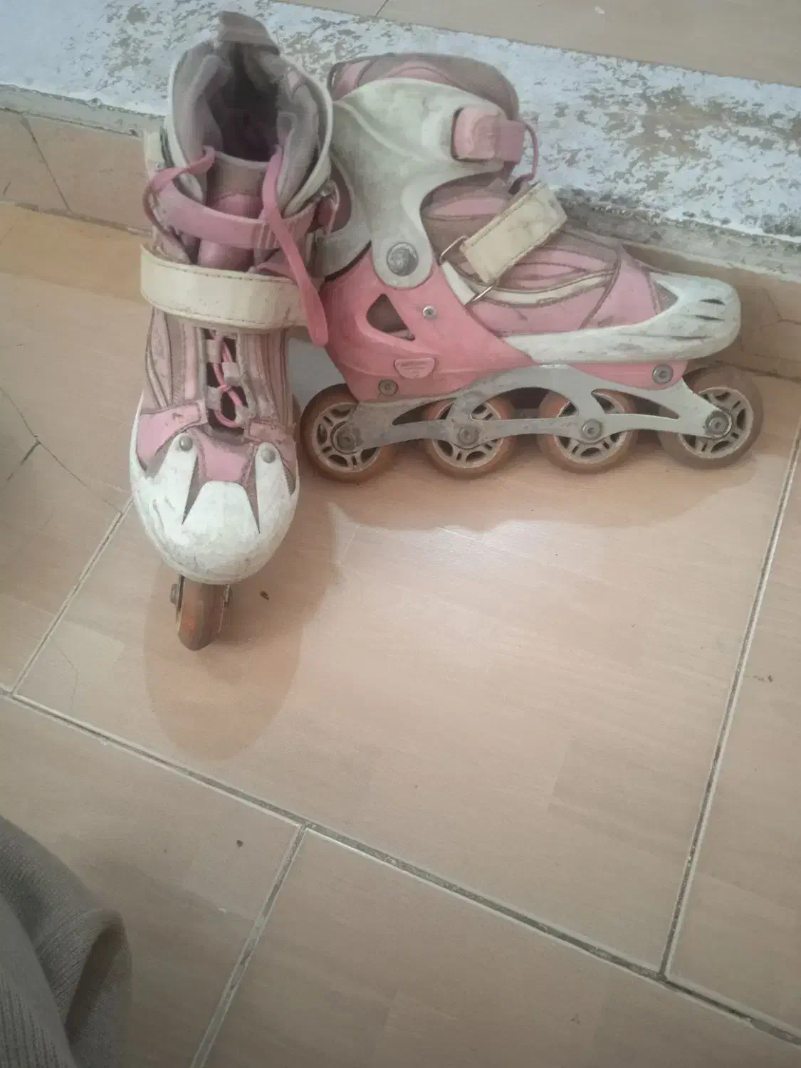 اسکیت|دوچرخه، اسکیت، اسکوتر|باغستان, |دیوار