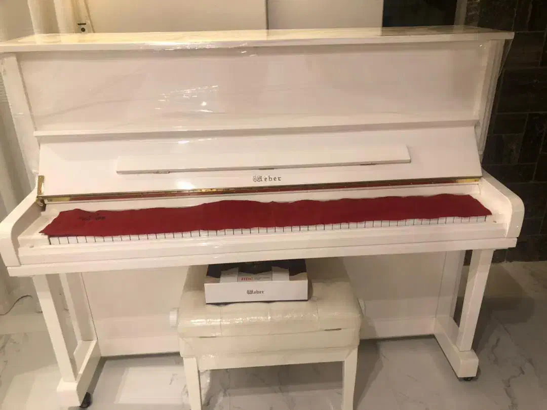 الات موسیقی پیانو|پیانو، کیبورد، آکاردئون|مشهد, ملکآباد|دیوار