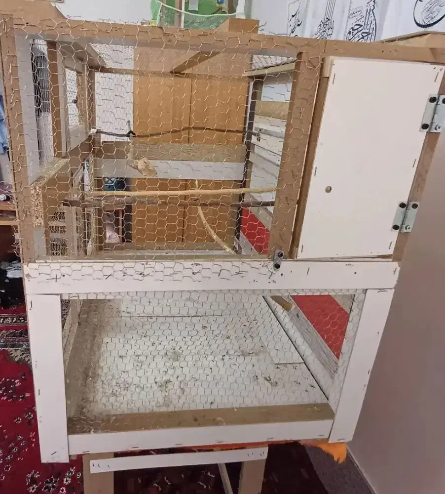 قفس پرنده|لوازم جانبی حیوانات|تربت جام, والفجر|دیوار