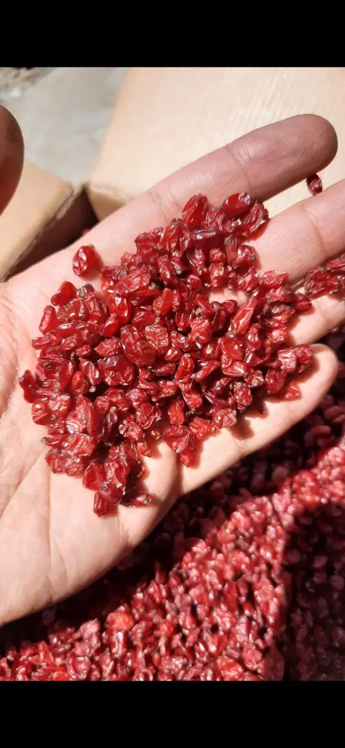 زرشک قائنات|خدمات پذیرایی، مراسم|قائن, |دیوار