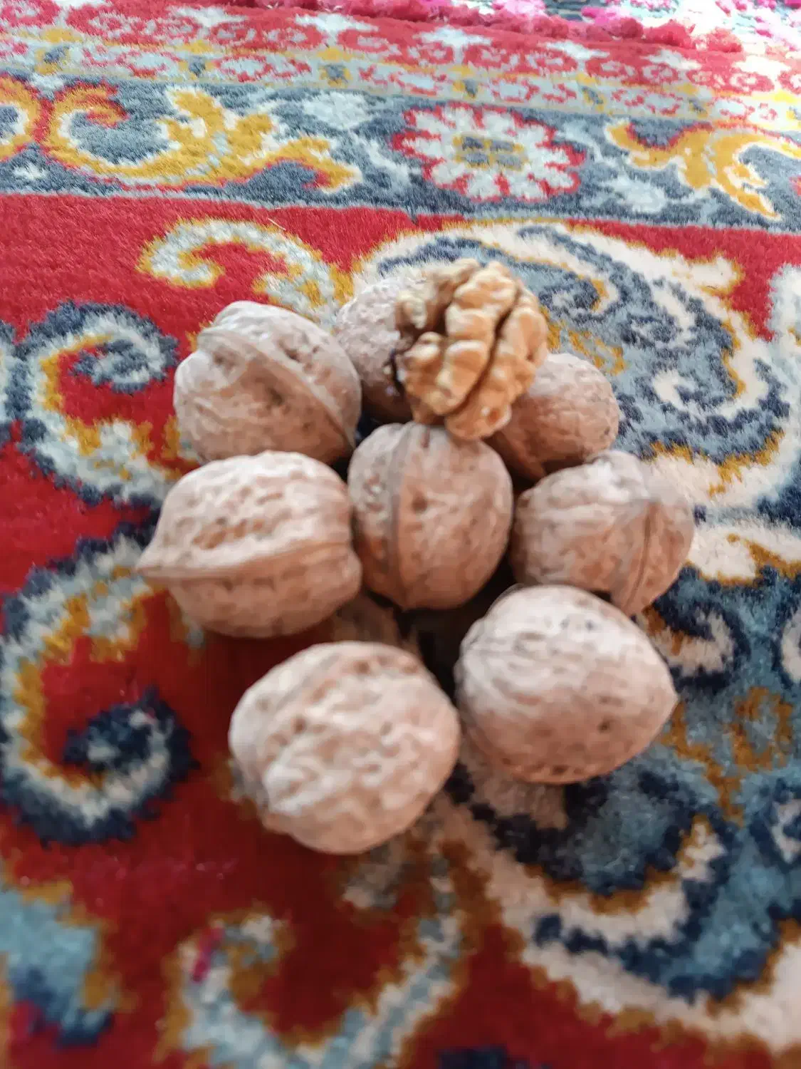 گردوی تازه وخوردنی . روغنی|خوردنی و آشامیدنی|مشگین شهر, |دیوار