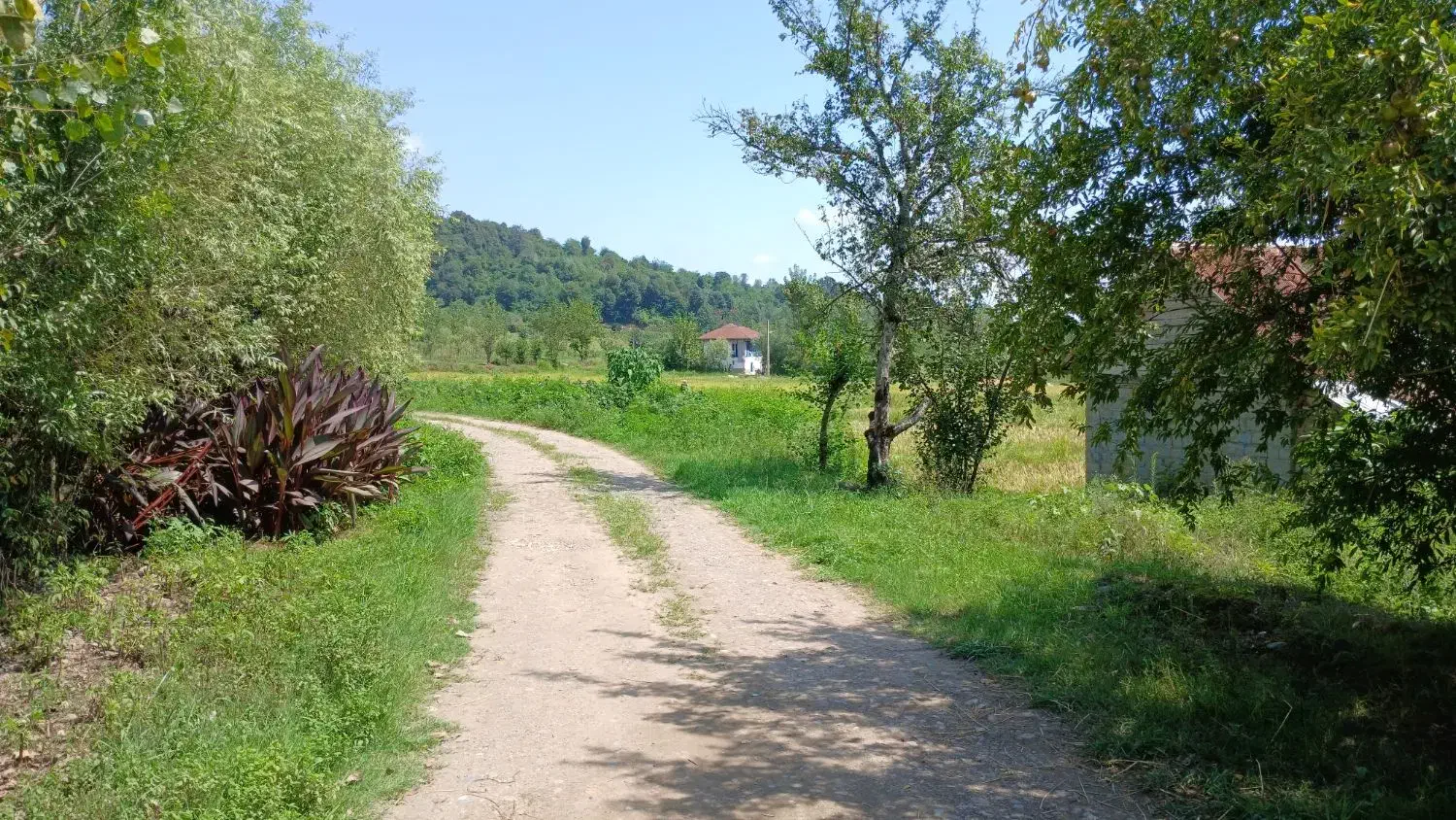 اجاره ویلا جنگلی سنتی در فومن.جاده ماسوله.شولم|اجارهٔ کوتاهمدت ویلا و باغ|فومن, |دیوار