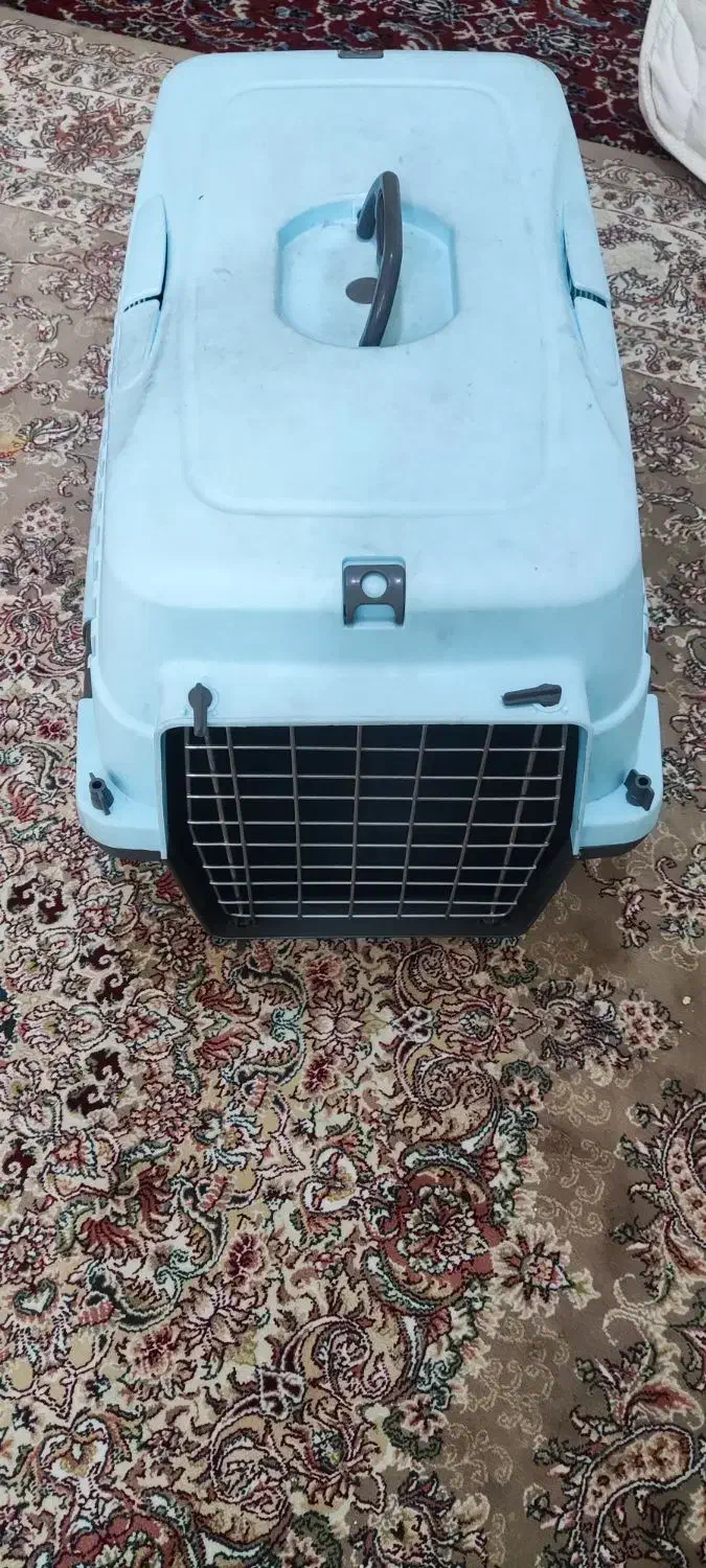 باکس حیوانات|لوازم جانبی حیوانات|پاکدشت, پارچین|دیوار