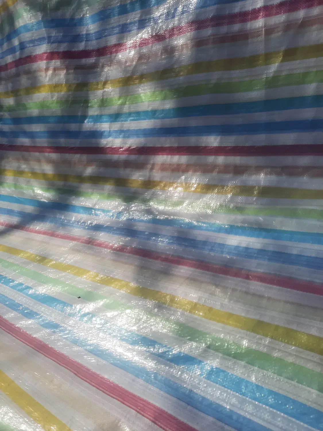 خانه|اجارهٔ خانه و ویلا|ملکان, |دیوار