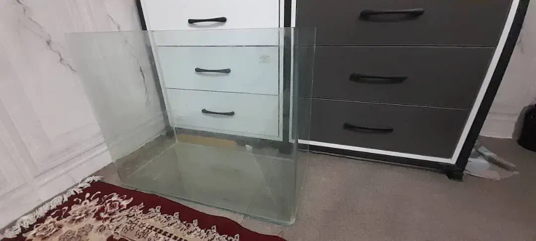 آکواریوم همراه تصویه|ماهی|مشهد, نیزه|دیوار