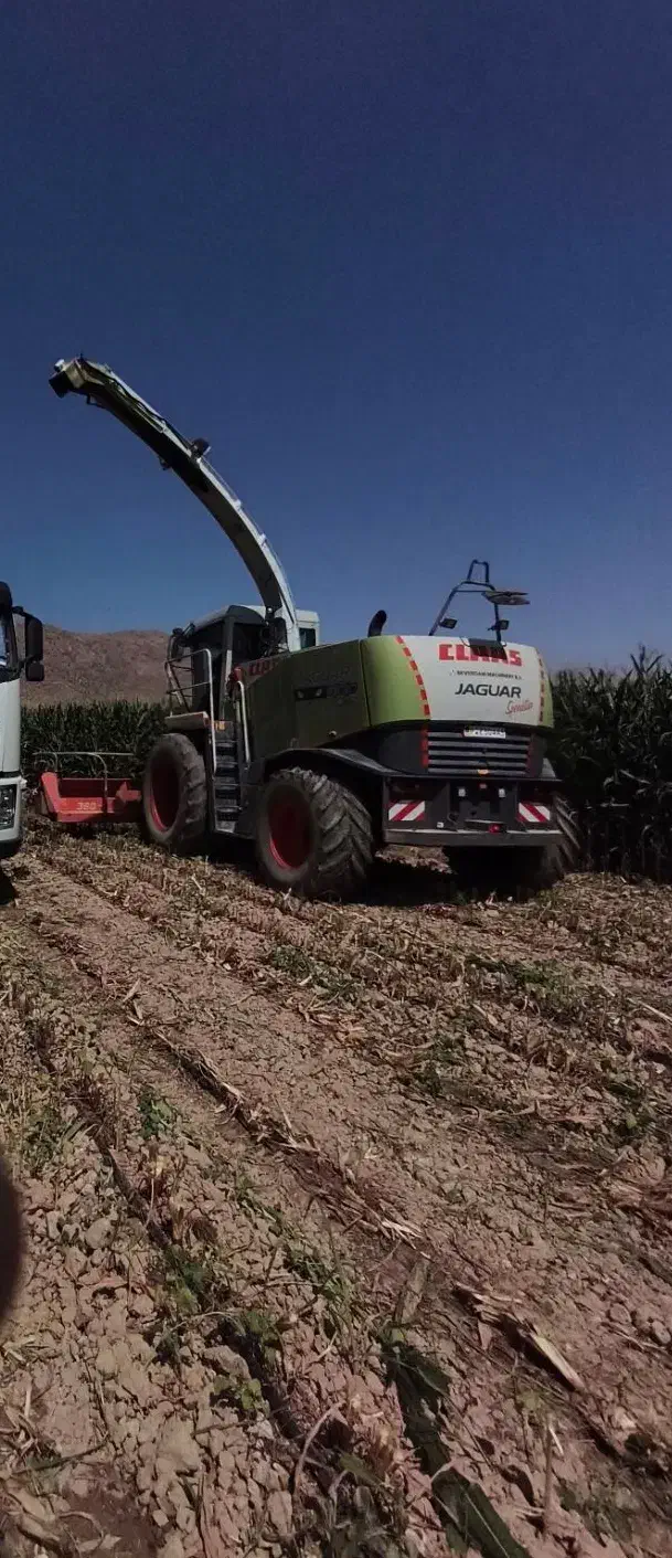 زمین اجاره ای قوام اباد|اجارهٔ دفتر صنعتی، کشاورزی، تجاری|پاسارگاد, |دیوار