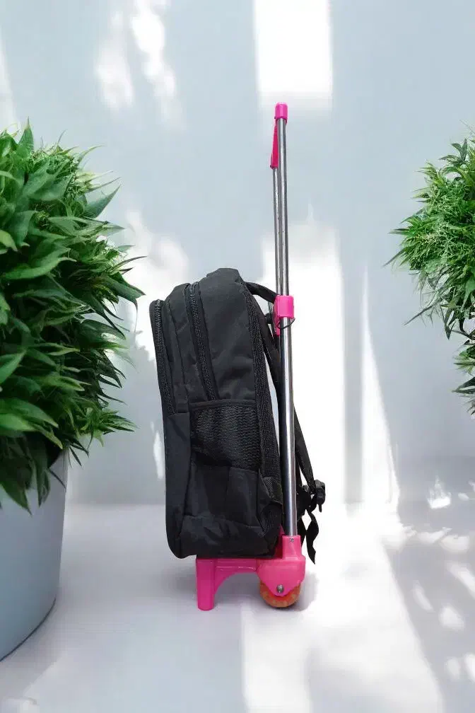 چرخ دستی کوله پشتی|کیف، کفش، کمربند|آمل, |دیوار