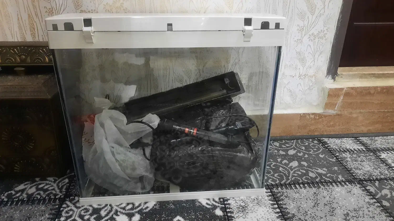 اکواریوم  شرکتی با تمامی تجهیزات|ماهی|رشت, فلسطین|دیوار