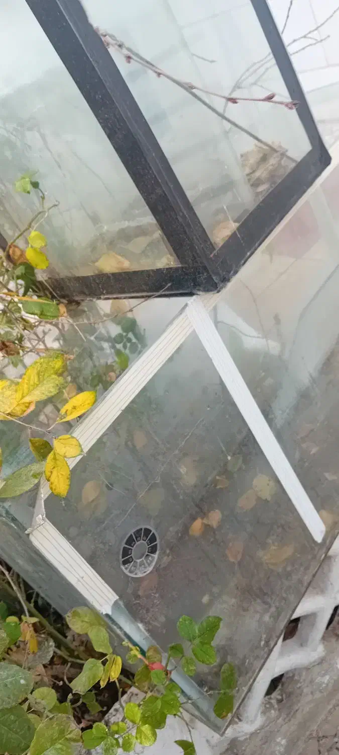 باربند پژو ۴۰۵ آردی روا و اکواریوم با لوازم و ماهی|ماهی|تبریز, |دیوار