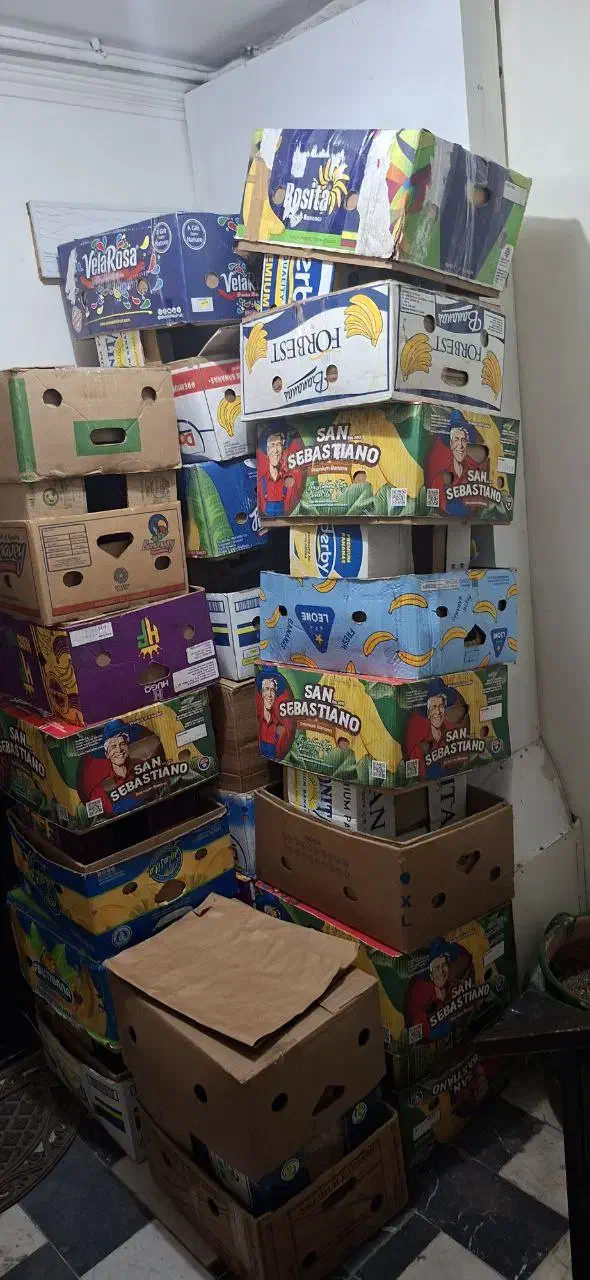 جعبه موز|فروشگاه و مغازه|رشت, حسین آباد|دیوار