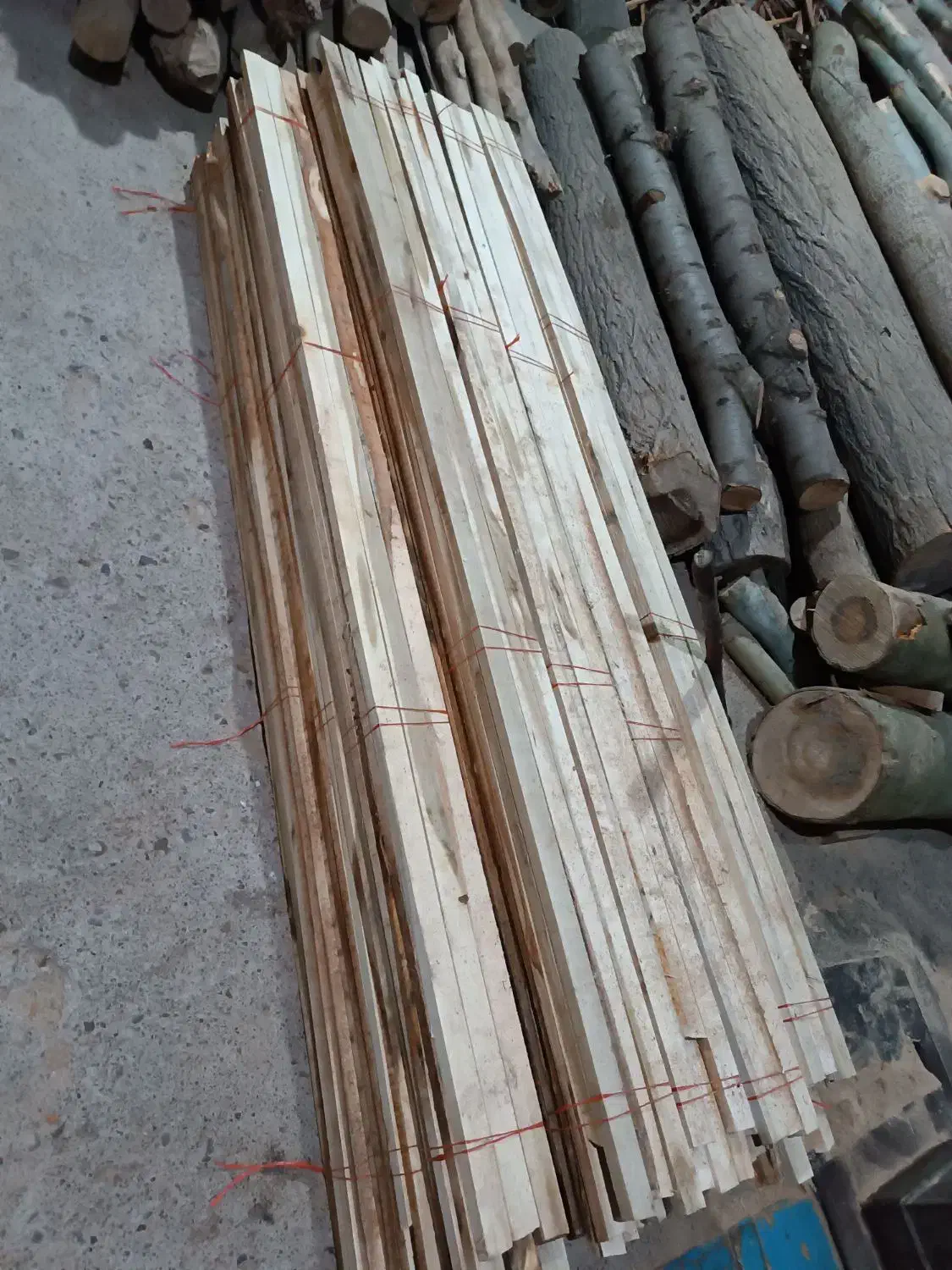 قیدمبلی سپیداری|عمده‌فروشی|مشهد, کشف|دیوار