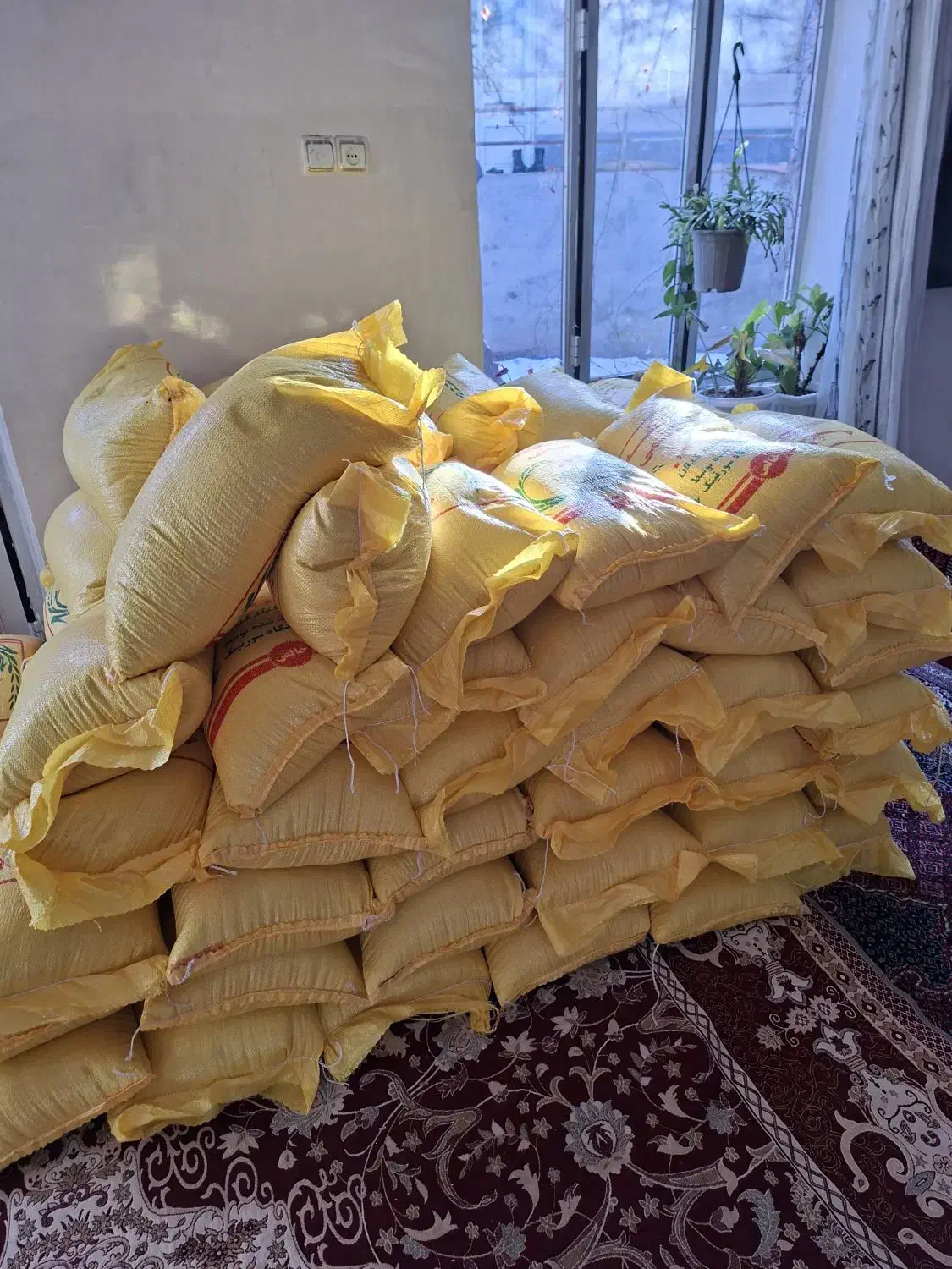 لاشه برنج هاشمی|خوردنی و آشامیدنی|مشگین شهر, |دیوار